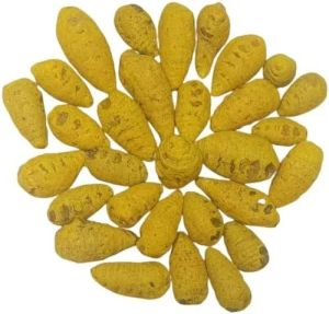 polished turmeric bulb