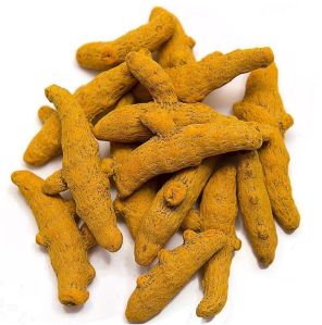 Rajapuri Turmeric Finger