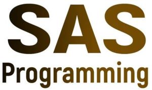 SAS Programming Online Training Course