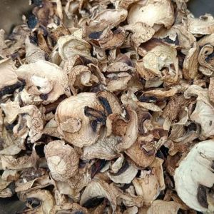 Dried Mushroom