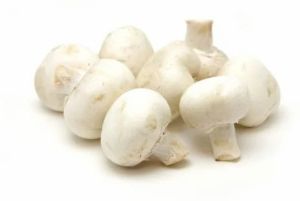 Fresh White Portobello Mushroom