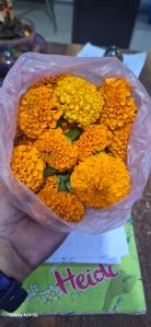 Marigold Flowers