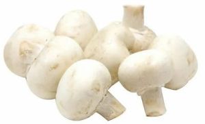 Fresh Organic White Button Mushroom