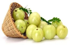 Green amla