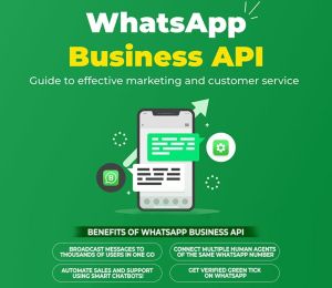 Whatsapp Business Api Service