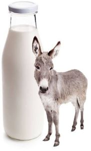 FRESH DONKEY MILK