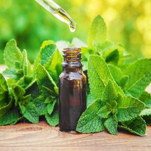 Natural Mentha Essential Oil