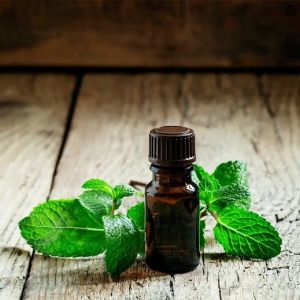 Pure Mentha Essential Oil