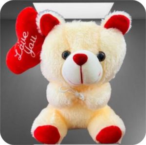 Baloon Teddy size 30cm