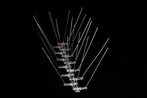 Stainless Steel Bird Spikes, Size: 13.5 Inch