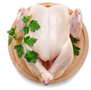 Fresh Whole Chicken Meat