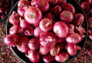 B Grade Red Onion