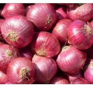 Fresh Red Onion