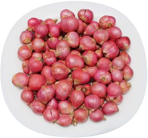 Small Red Onion