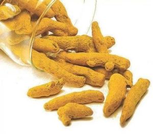 Raw Turmeric Finger