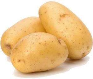 Potato