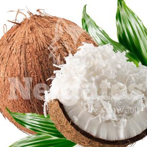 Nelgates Desiccated Coconut Powder