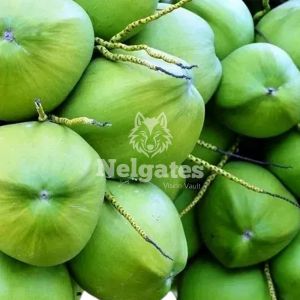 Nelgates Tender Coconut