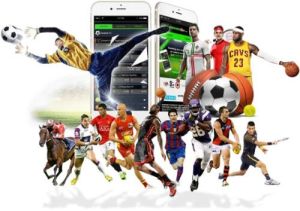 Sportsbook Software Provider