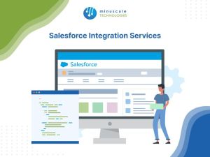 database integration services