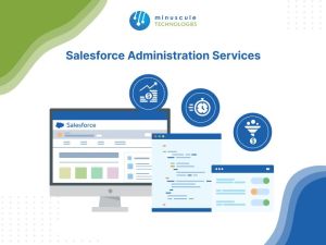 salesforce administration service