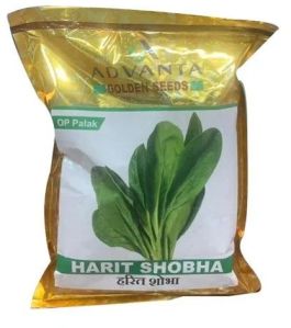 Harit Shobha OP Golden Palak Seeds