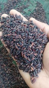 Black Kavuni RIce