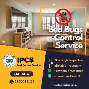 Bed Bugs Control Service