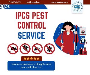 Pest Control Services