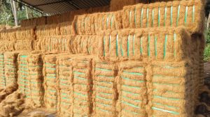 coir fibre bales