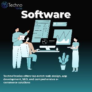 Software Customization Services