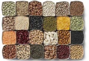 Indian Pulses