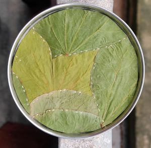 Plain Stitched Sal Leaf Plate