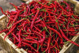 red chilli