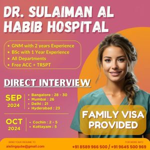 nurse visa assistance service