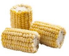 Frozen Sweet Corn Cob