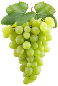 Fresh Grapes