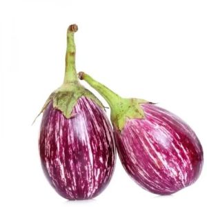 organic brinjal