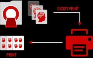 Dicom Printing Software