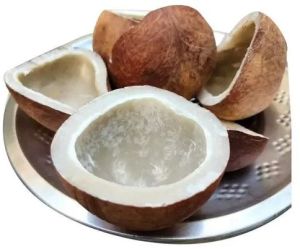 fresh dried coconut