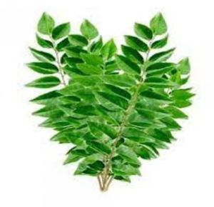 Natural Curry Leaves