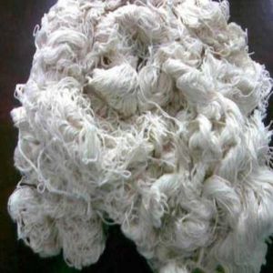 White Cotton Waste