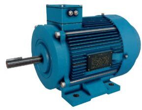 Induction Motor