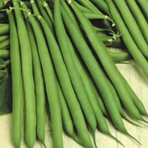 A Grade Green French Beans