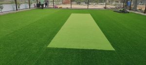 Artificial Grass Installation Services