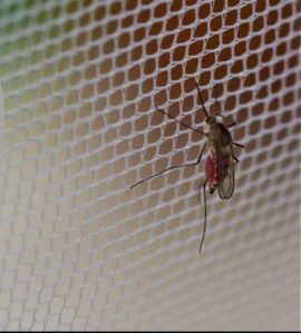 Mosquito Net Installation Service