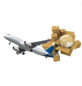 FedEx Courier Services in Noida