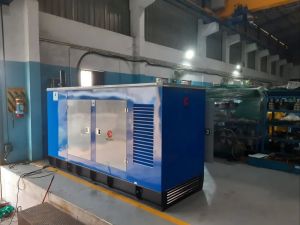 25kVA Single Phase Escorts Diesel Generator