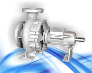 Thermic Fluid Pumps