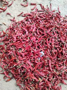 Dry Red Chilli